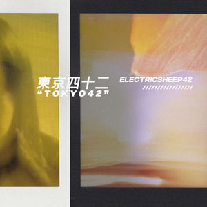 Electricsheep42《Soft》[MP3_LRC]