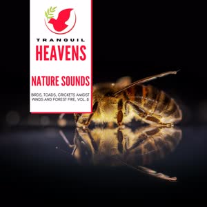 Beautiful Nature Portrait Melodies - Meadows into the Wild
