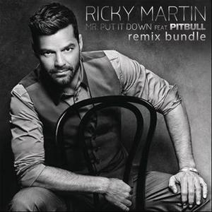 Ricky Martin&Pitbull - Mr. Put It Down