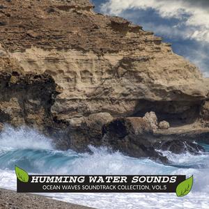 The Gentle Noise Ocean Music - Power Of Birds At Night