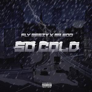 FlyBeezy&Baby J《So Cold》[MP3_LRC]