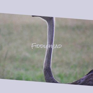 Jono Gree - Overdue Whereinto
