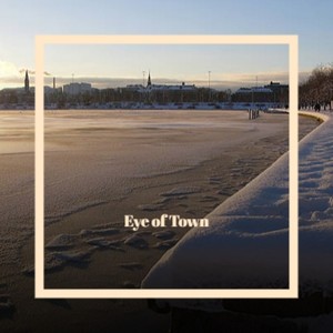 Bart Janssen - The Flow