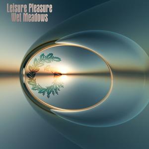 Leisure Pleasure《Wet Meadows(Original Mix)》[MP3_LRC]