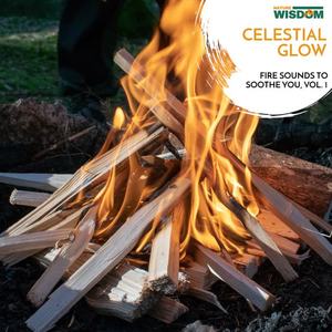 Hypnotic Fire Nature Music - Deep Summer Forest