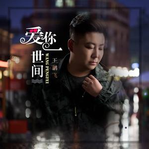 王鹏飞 - 爱你一世间