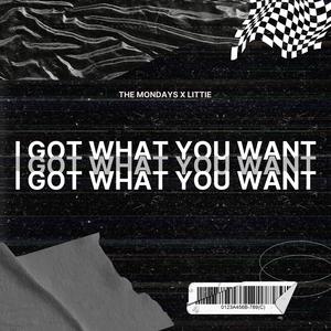 The Mondays&Littie&Leslie Powell&Kali J - I Got What You Want (feat. Leslie Powell & Kali J)