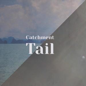 Ilay - Meet Call