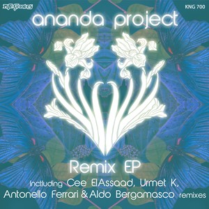 Ananda Project&Heather Johnson《I Hear You Dreaming(Cee ElAssaad Remix)》[MP3_LRC]