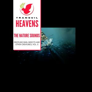 Great Healer Nature Music - Birds of Tomorrow