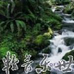 Percy Faith《雨点不停地打在我头上》[MP3_LRC]