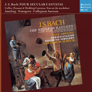 Johann Sebastian Bach&Collegium Aureum《Du böses Kind, du loses Mädchen (Recitativo)》[MP3_LRC]