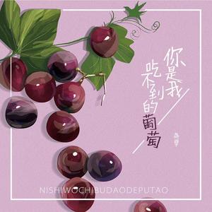 蒋婴《你是我吃不到的葡萄(伴奏)》[MP3_LRC]