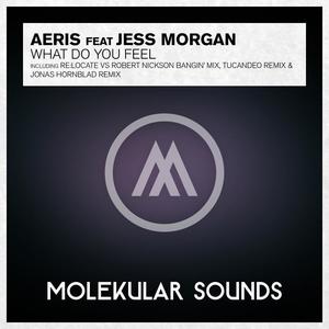 Aeris&Jess Morgan《What Do You Feel?(Re:Locate Vs. Robert Nickson Banging Dub)》[MP3_LRC]