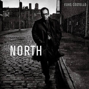 Elvis Costello《You Left Me In The Dark》[MP3_LRC]