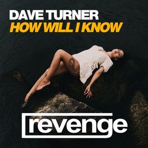 Dave Turner《How Will I Know(Original Mix)》[MP3_LRC]