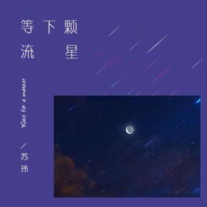 苏玮&音药配方《等下颗流星(伴奏)》[MP3_LRC]