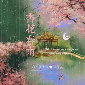 格子兮&DJ何友《杏花春雨(DJ何友版伴奏)》[MP3_LRC]