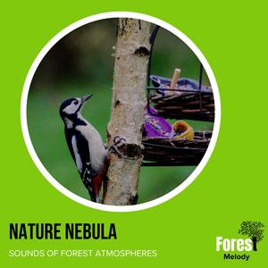 Nature Species Sounds Collection - Strong Wind Pushing