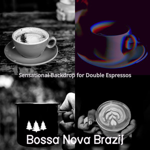 Bossa Nova Brazil - Spectacular Cold Brews