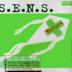 S.E.N.S. - Fairy