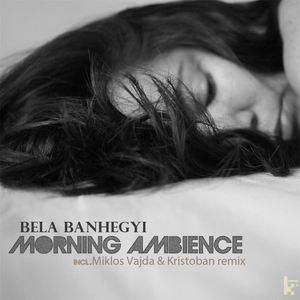 Bela Banhegyi《Morning Ambience(Miklos Vajda Remix)》[MP3_LRC]