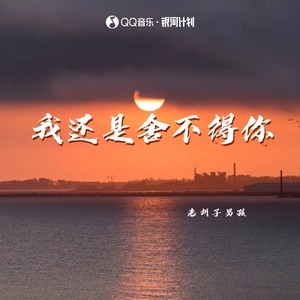 老胡子男孩《我还是舍不得你》[MP3_LRC]