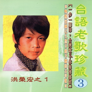 洪荣宏 - 蝶恋花