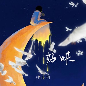 林小珂《好哄(伴奏)》[MP3_LRC]