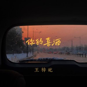 王梓屹《你的喜酒》[MP3_LRC]