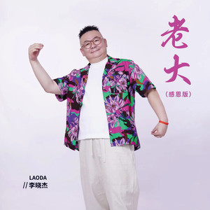 李晓杰《老大(感恩版)》[MP3_LRC]