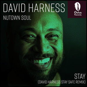 Nutown Soul《Stay(David Harness Stay Safe Remix)》[MP3_LRC]