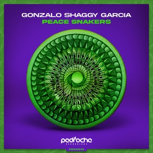 Gonzalo Shaggy Garcia《Peace Snakers(Intro Piano Mix)》[MP3_LRC]