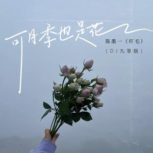 陈墨一（吖毛）《可月季也是花(DJ九零版伴奏)》[MP3_LRC]