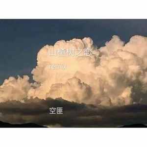 空匪《山楂树之恋(单曲|Remix)》[MP3_LRC]