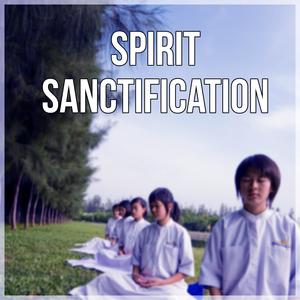Nature Meditation Academy - Enlightenment