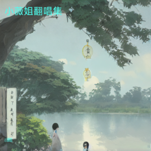 小薇姐 - 二胡独奏《九九艳阳天》 (翻奏: 张瀛)