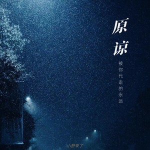 小野来了《原谅（谁都别说）》[MP3_LRC]