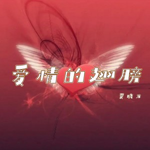 贾晓龙 - 爱情的翅膀