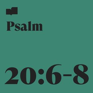 Verses&Joel Limpic《Psalm 20:6-8 (feat. Joel Limpic)》[MP3_LRC]