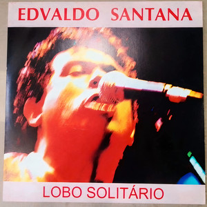 Edvaldo Santana&Raul Seixas《Metrô Linha 743》[MP3_LRC]