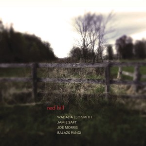Wadada Leo Smith&Jamie Saft&Joe Morris - Janus Face