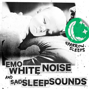 Sparrow Sleeps《The Noise of Summer (Loopable)》[MP3_LRC]