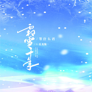 名龙《霜雪千年(DJ名龙版)》[MP3_LRC]