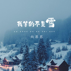 向思思《我等的不是雪》[MP3_LRC]