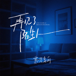 斯琴高丽 - 再见了陌生人