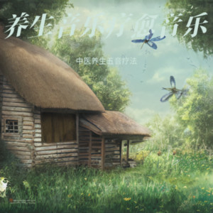 中医养生五音疗法 - 黄帝内经五行养生音乐 水音补肾 提高注意力
