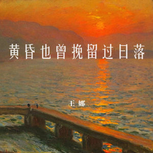 王娜 - 黄昏也曾挽留过日落