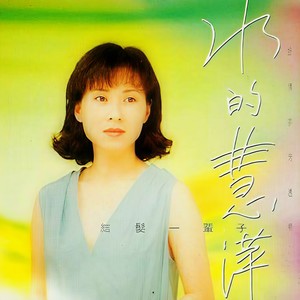 林慧萍 - 情难枕