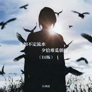 DJ铁柱 - 生如不定流水 夕拾难觅朝花